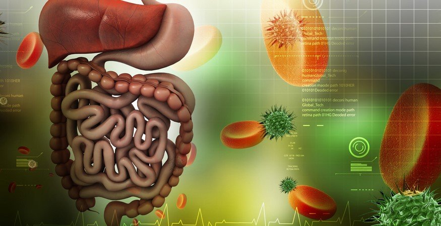 Digestive Health with Our Natural Solutions